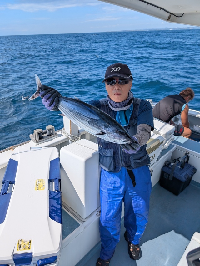 ホンガツオ(カツオ)