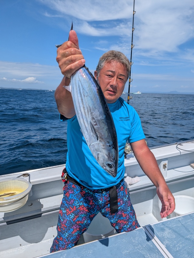 ホンガツオ(カツオ)