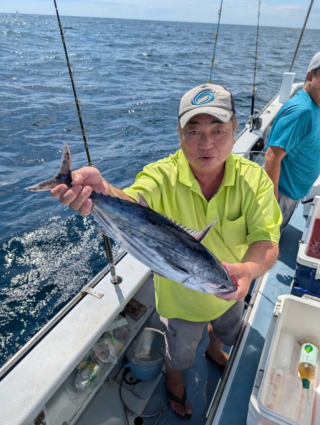 ホンガツオ(カツオ)