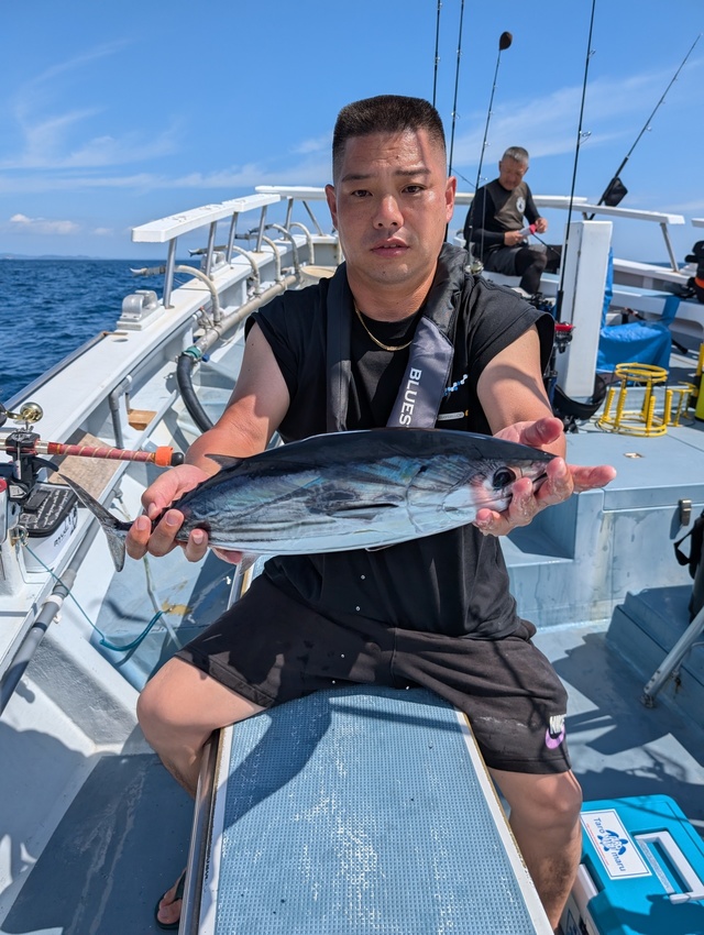 ホンガツオ(カツオ)