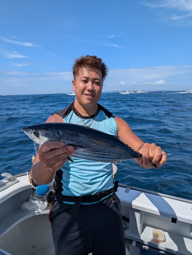 ホンガツオ(カツオ)