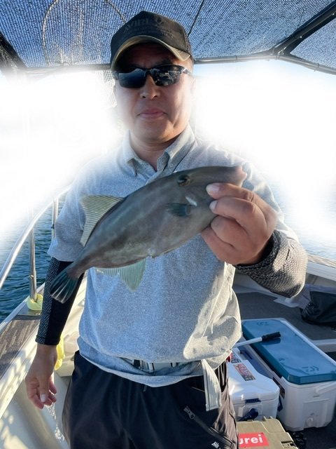 ウマヅラ(ウマヅラハギ)