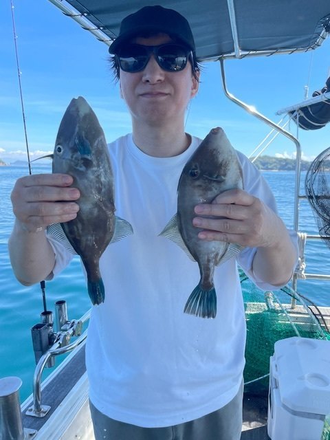 ウマヅラ(ウマヅラハギ)