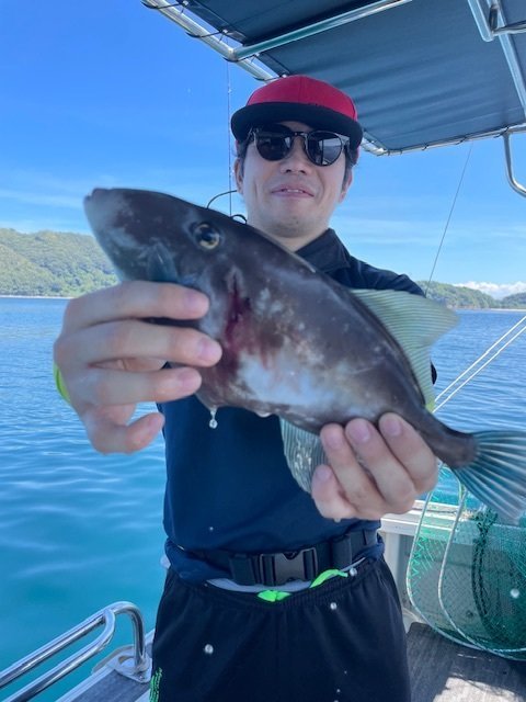 ウマヅラ(ウマヅラハギ)