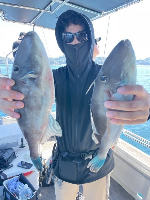 ウマヅラ(ウマヅラハギ)