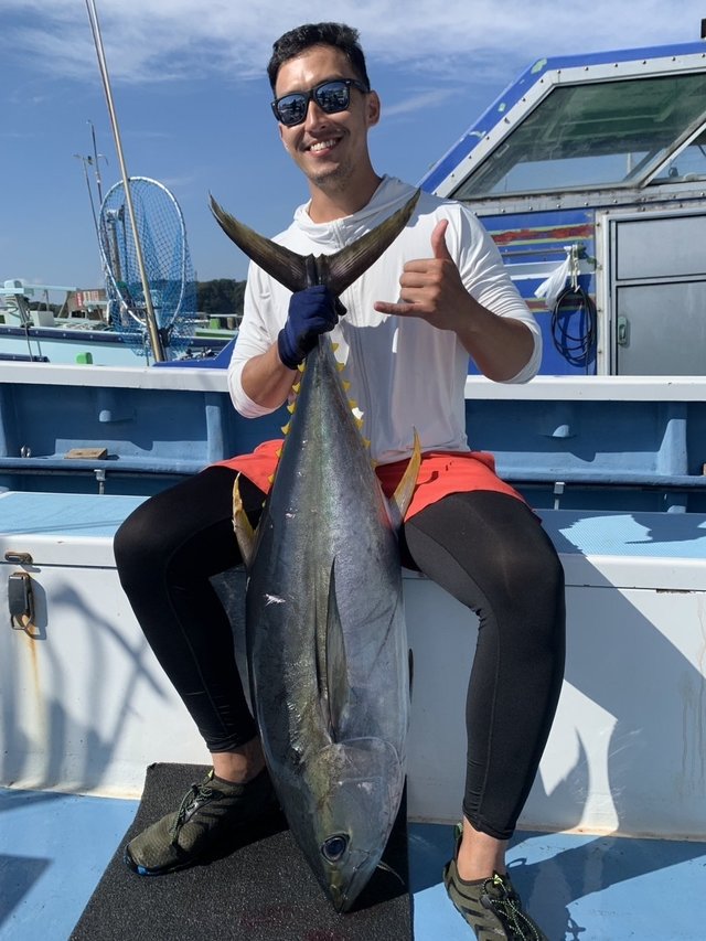 キハダマグロ(キハダ)