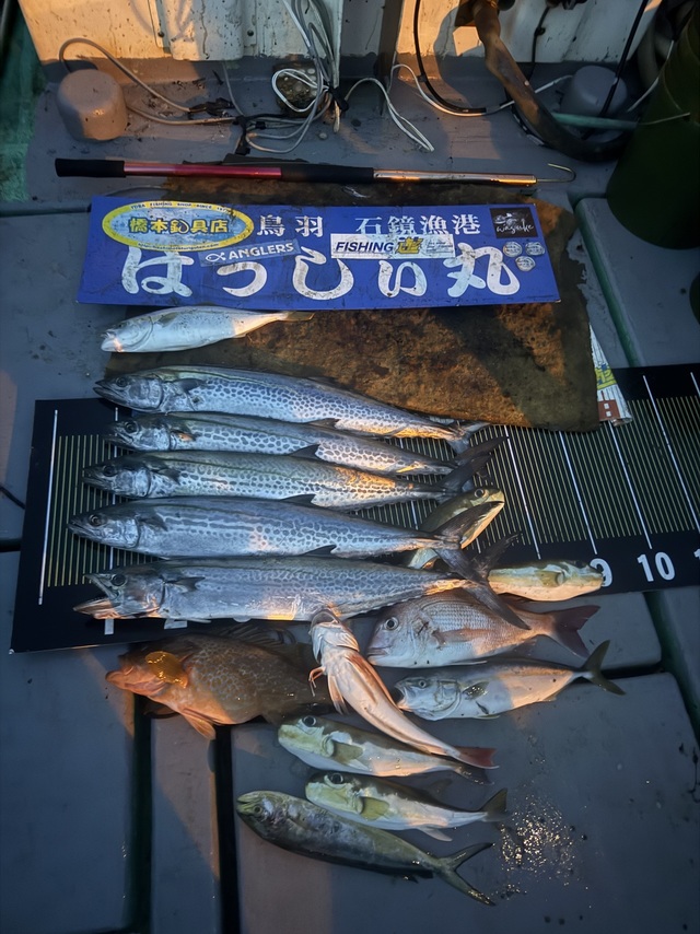 タイ(マダイ)・サワラ