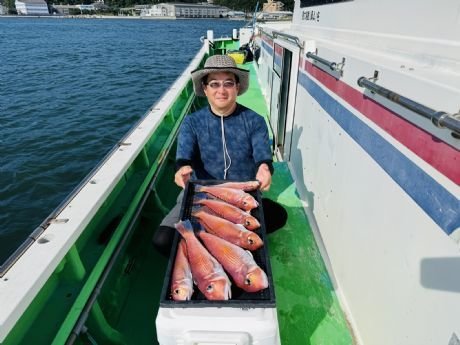 アマダイ(アカアマダイ)