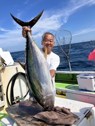 キメジ(キハダ)