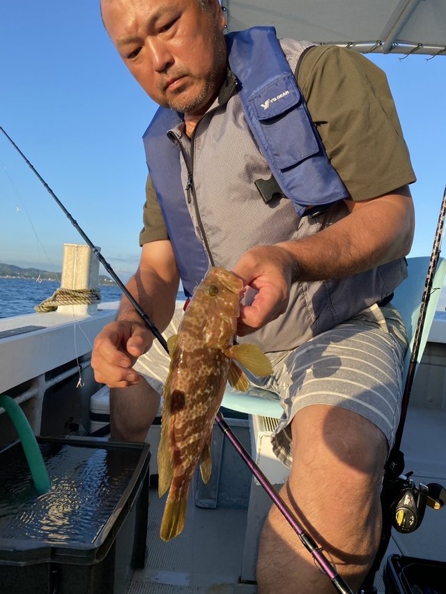 アコウ(キジハタ)