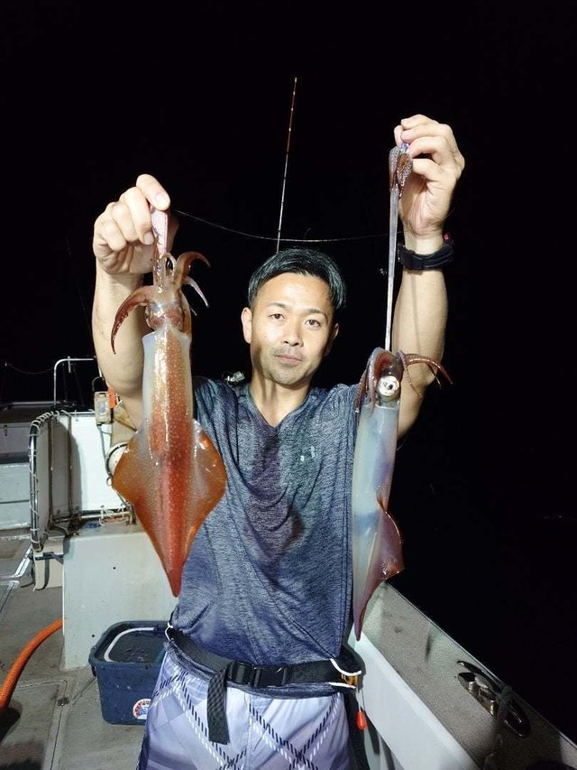 イカ(ケンサキイカ)