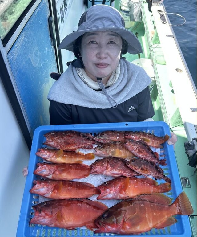 アカハタ・カサゴ