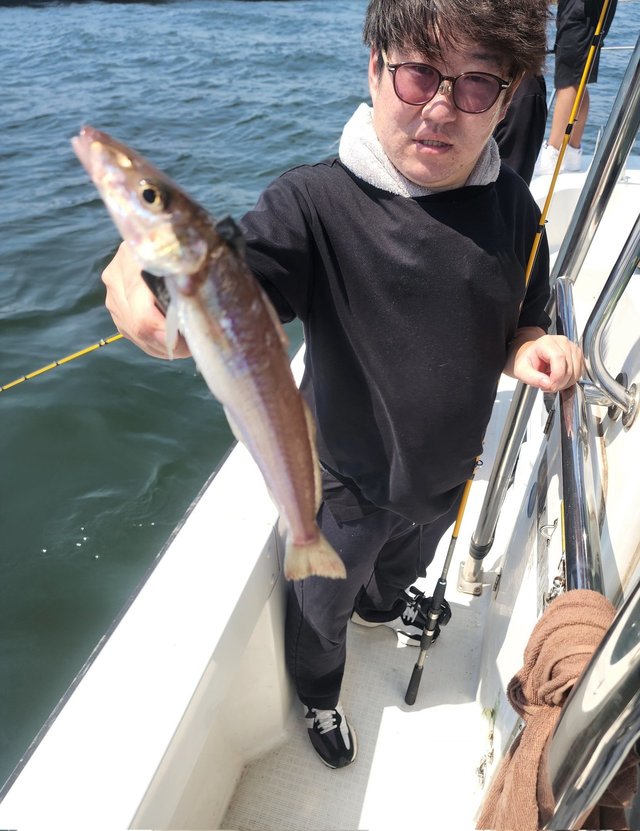 キス(シロギス)