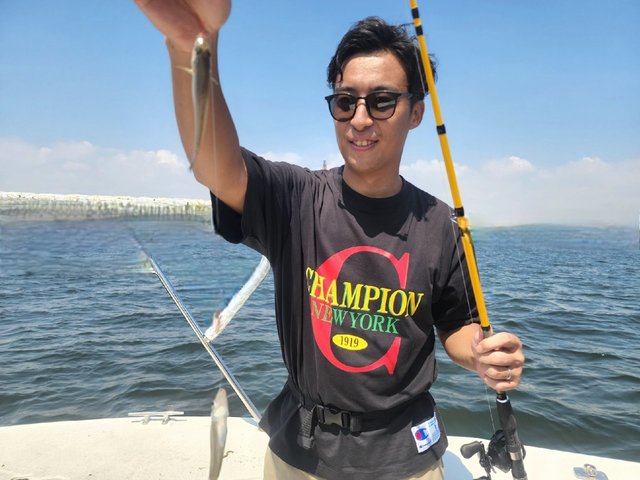 キス(シロギス)