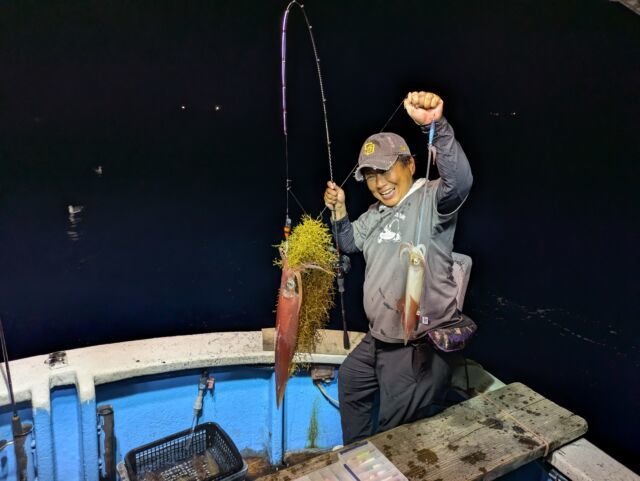 マイカ(ケンサキイカ)