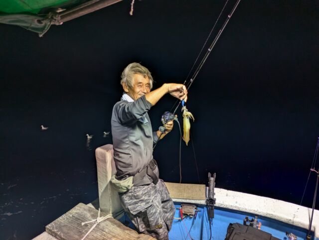 マイカ(ケンサキイカ)