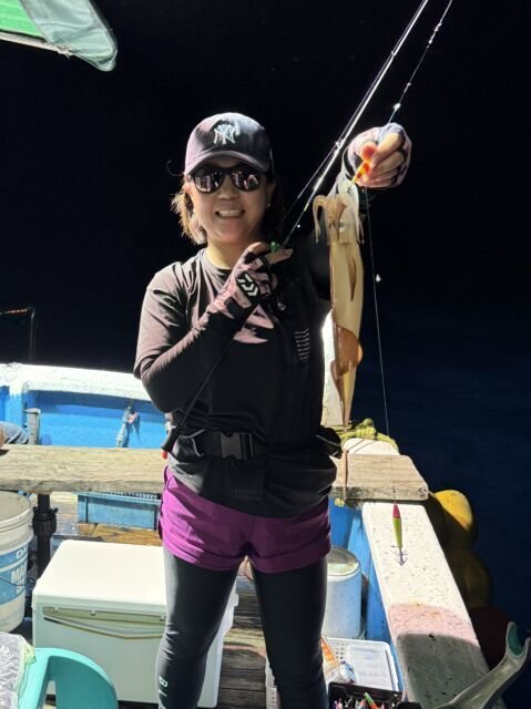 マイカ(ケンサキイカ)