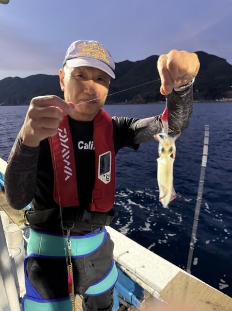 マイカ(ケンサキイカ)