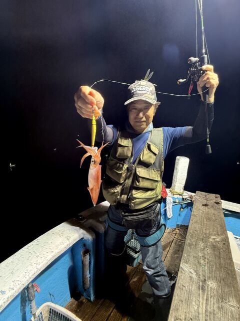 マイカ(ケンサキイカ)