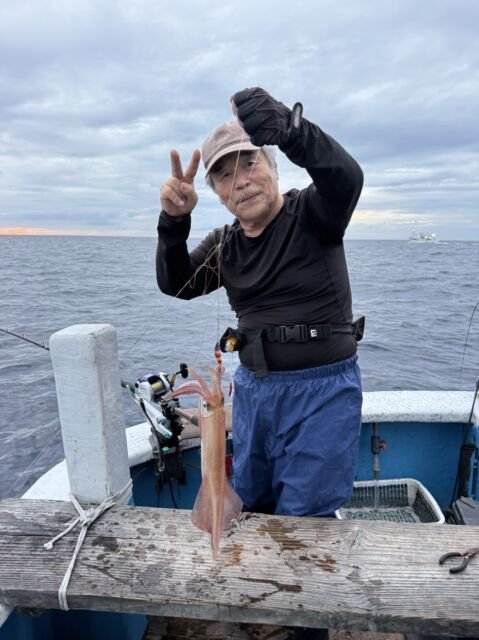 マイカ(ケンサキイカ)