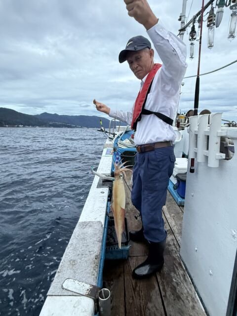 マイカ(ケンサキイカ)