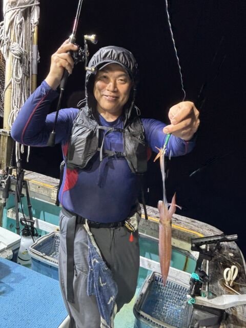 マイカ(ケンサキイカ)