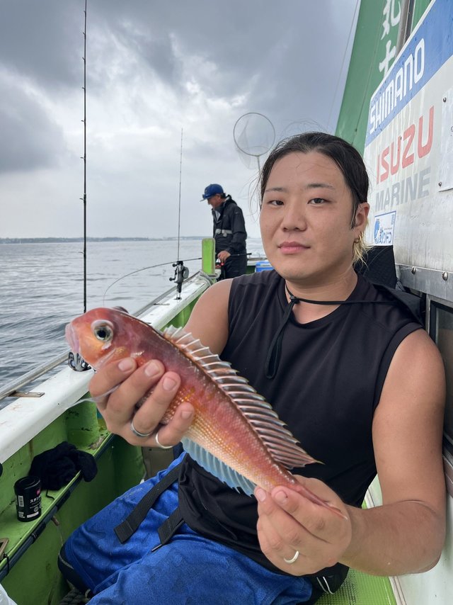 アマダイ(アカアマダイ)