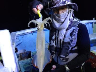 マイカ(ケンサキイカ)