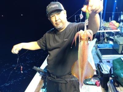 マイカ(ケンサキイカ)