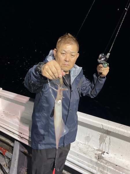 イカ(ケンサキイカ)