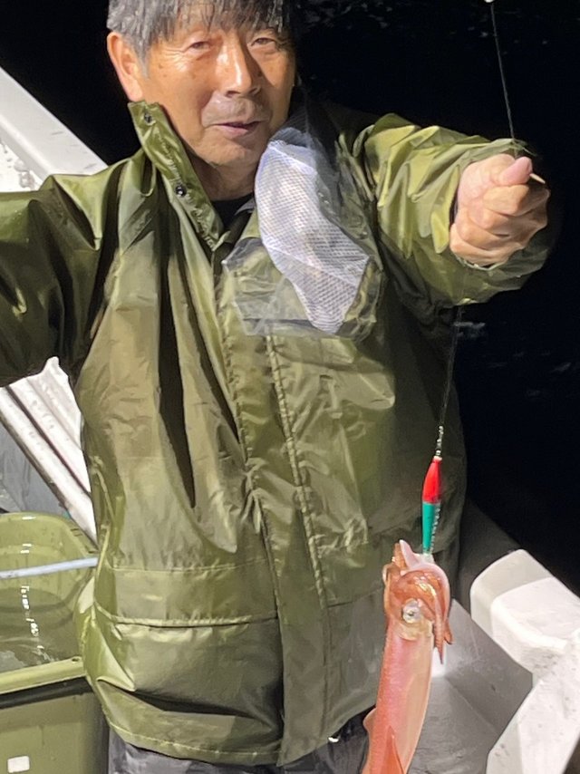 イカ(ケンサキイカ)