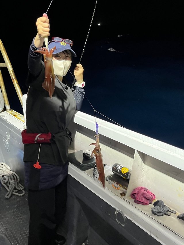 イカ(ケンサキイカ)