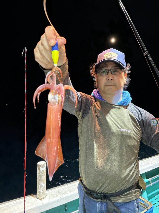 アカイカ(ケンサキイカ)