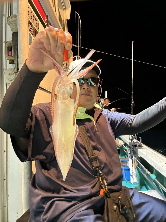 アカイカ(ケンサキイカ)