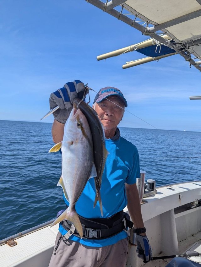 シオ(カンパチ)