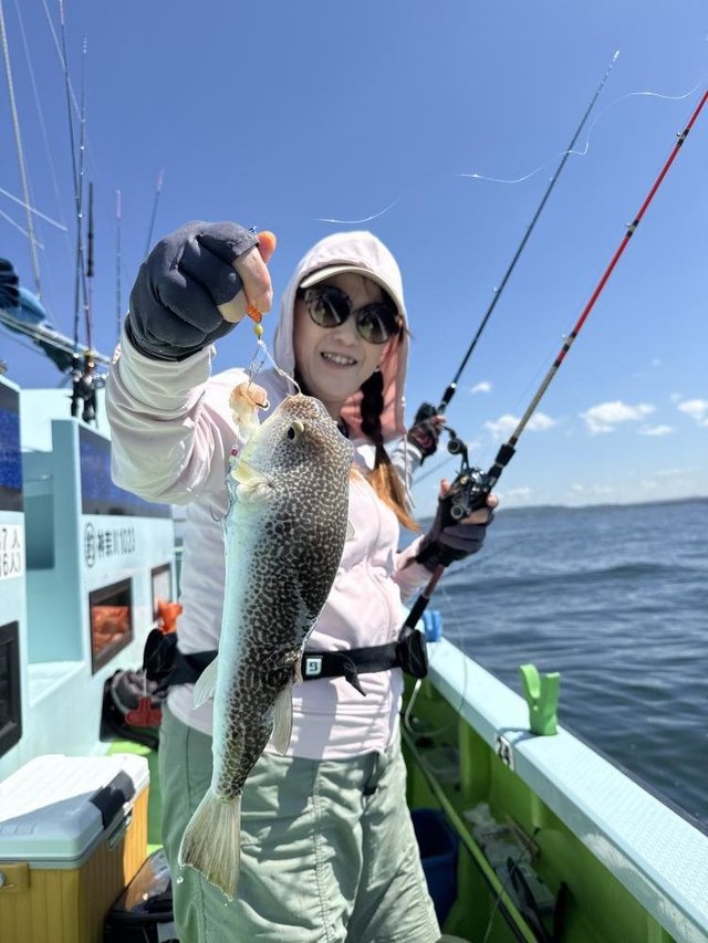 フグ(ショウサイフグ)