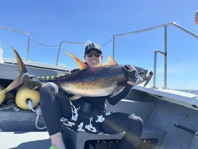 キハダマグロ(キハダ)