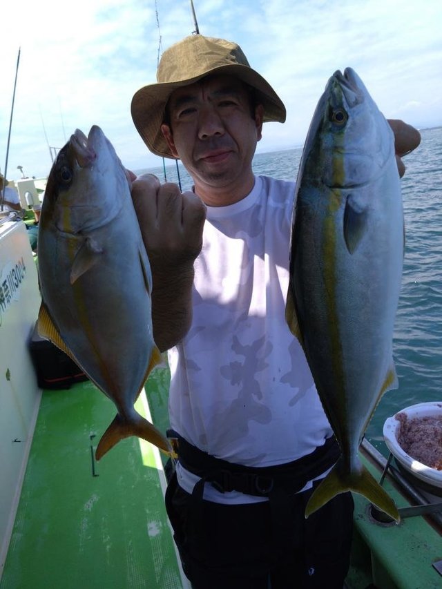 イナダ(ブリ)・カンパチ