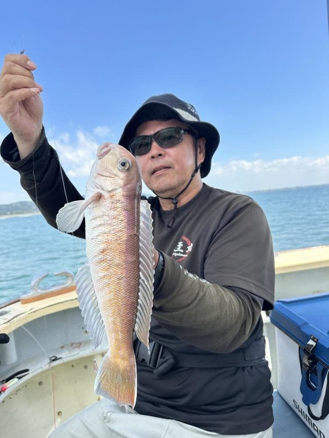 アマダイ(アカアマダイ)