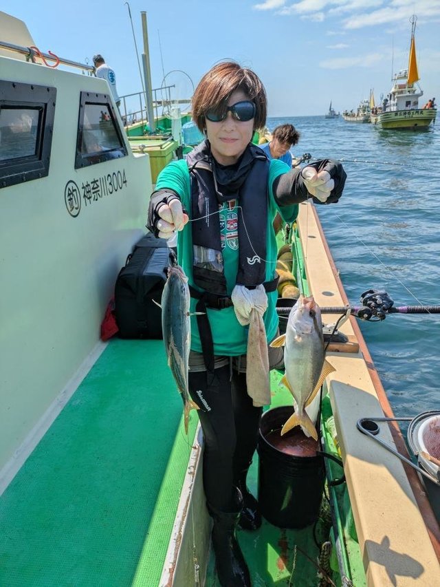 イナダ(ブリ)・カンパチ