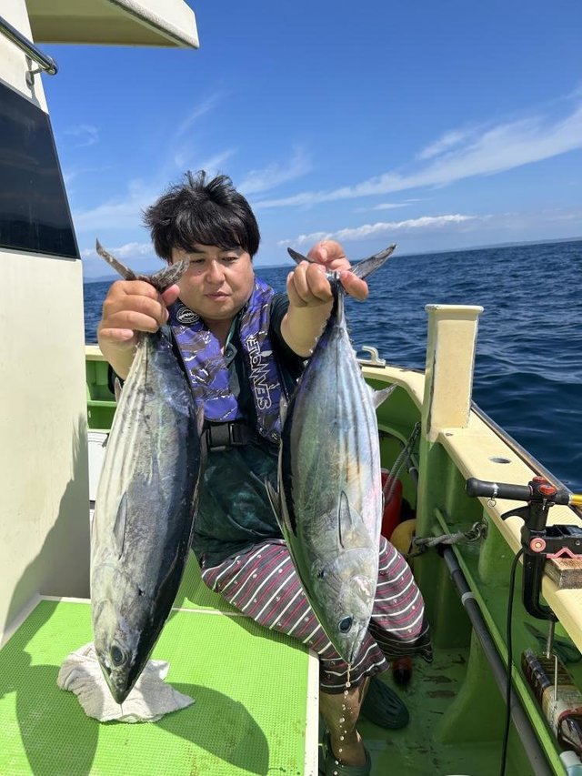 ホンガツオ(カツオ)