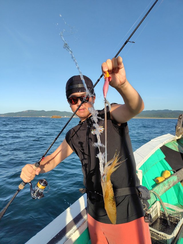 シロイカ(ケンサキイカ)