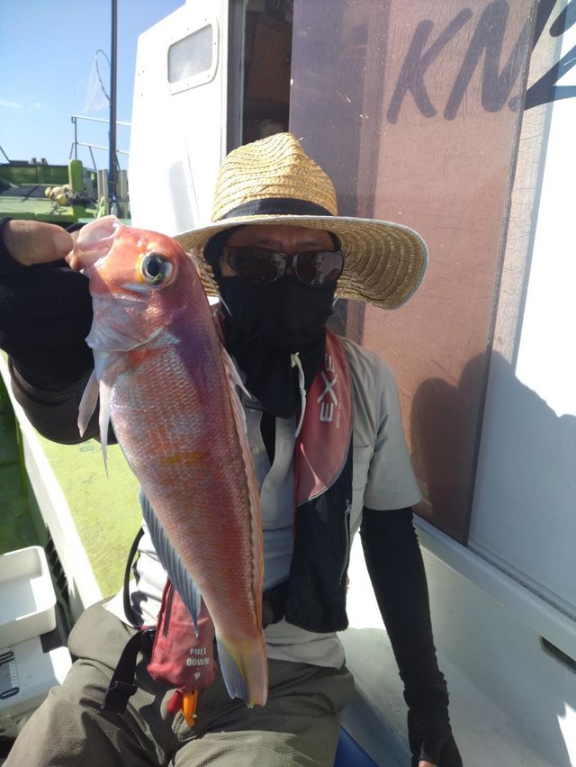 アマダイ(アカアマダイ)