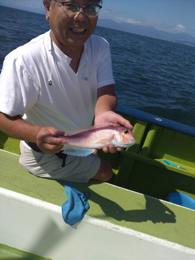 アマダイ(アカアマダイ)