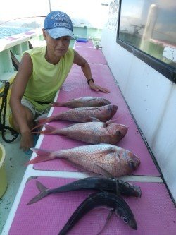 マダイ・アジ(マアジ)