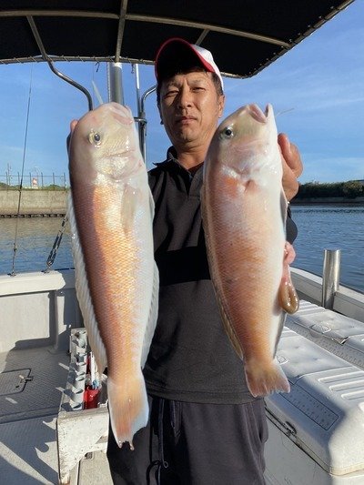 シロアマダイ