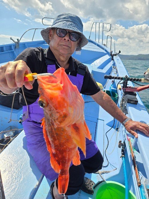 ウッカリカサゴ