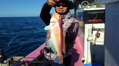 アマダイ(アカアマダイ)