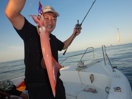 シロイカ(ケンサキイカ)