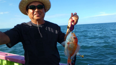 レンコダイ(キダイ)